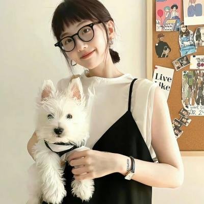 大唐女巡按